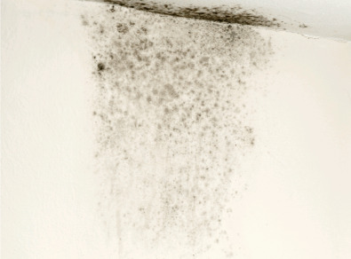 나주 주택 아파트 공장 결로검사 결로공사 시공업체