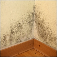 나주 주택 아파트 공장 결로검사 결로공사 시공업체-6106545