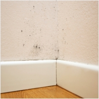 나주 주택 아파트 공장 결로검사 결로공사 시공업체-6106549